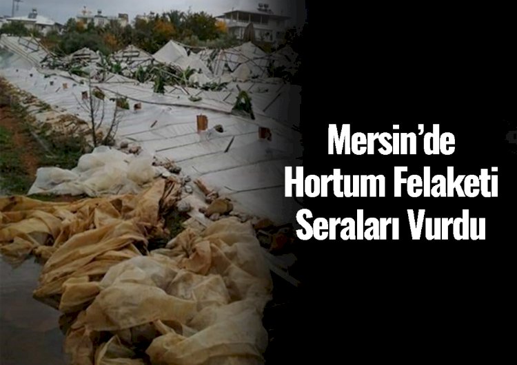 Mersin'de Hortum Felaketi, Seralarda Zarar Oluştu