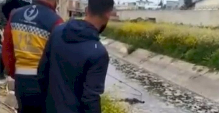 Mersin'de sulama kanalında TOKİ inşaatında çalışan işçiler tarafından erkek cesedi bulundu.